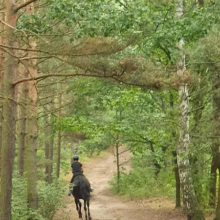 דירה Piaskowa Duna