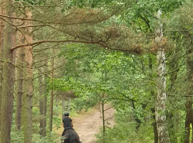 Lägenhet Piaskowa Duna